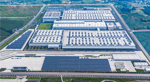 价格战怎么打,零跑看透了