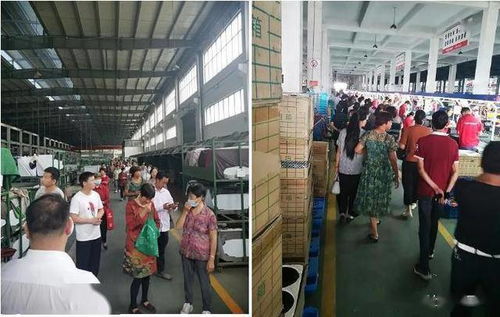 万事兴集成灶工厂直销会金华站圆满落幕，携手金华口腔医院共促健康生活